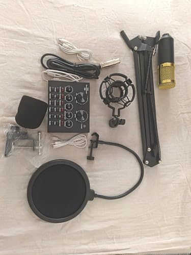 Image of Professional Condenser Microphone with Patented Audio Reference Comparing for Crystal Clear Sound, Condenser Microphone