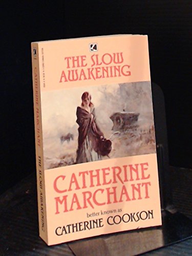 The Slow Awakening B003X82EUA Book Cover