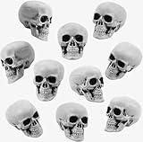 Huaerle 10 Pieces Halloween Skulls Plastic Skull Heads Realistic Looking Skulls Head Human Skeleton Head Mini Skulls for Halloween Party Haunted House Props Bar Home Table Decor, 1.8x1.8x2.4inch