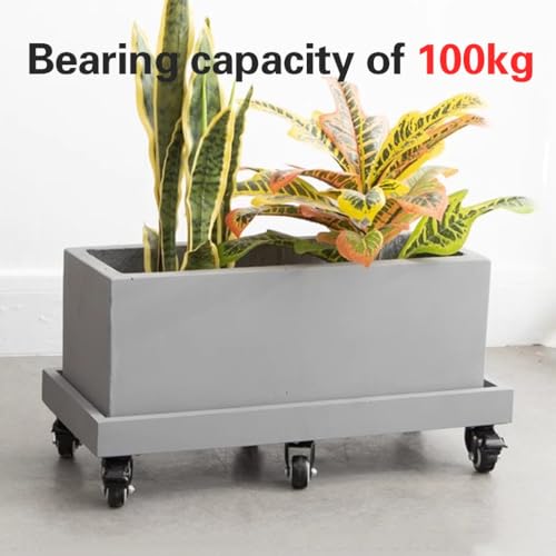 Support pot de fleurs roulettes avec plateau robuste et soucoupe