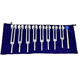 Chakra Tuning Forks Set for Healing, 7 Chakra+1 Soul Purpose Weighted Tuning Forks with Rubber Malle