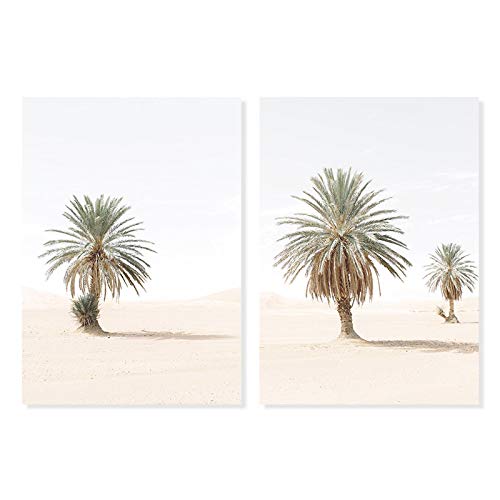 Impressions murales marocaines 50x70cm avec palmiers tropicaux pour grand salon moderne