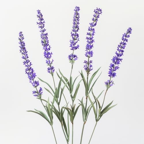 100 Semillas de Lavanda Verdadera - SemiSauvage Permacultura