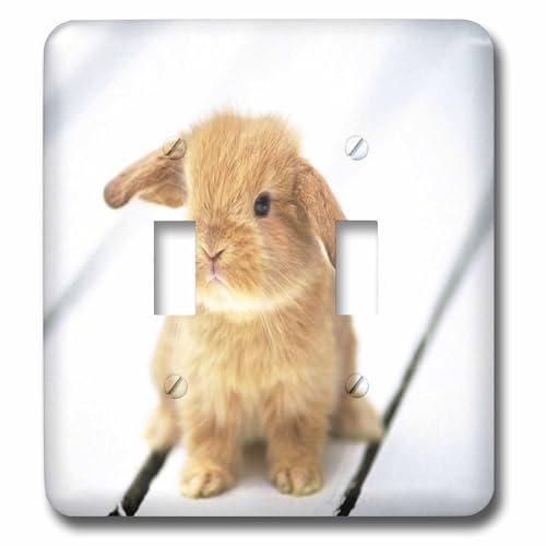 Interrupteur à bascule double robuste avec motif lapin Barbara