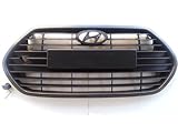 Hyundai Motors Genuine Front Hood Bumper Radiator Grill 2-pc Set For 2013 Hyundai Veloster Turbo