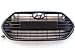 Hyundai Motors Genuine Front Hood Bumper Radiator Grill 2-pc Set For 2013 Hyundai Veloster Turbo