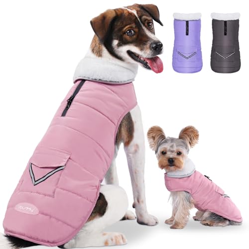 iBuddy Dog Winter Coat for Large Dogs, Easy on Dog Snow Coat Velcro Waterproof Pet Puffer Jacket with Harness Hole Adjustable Reflective Quilted Pet Cold Weather Vest Wind-Poof for Pitbull Boy Girl