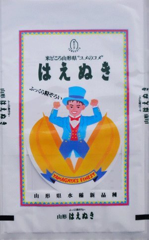 V ߘa7NY yāz R`Y ͂ʂ 5kg