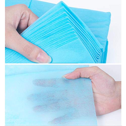 Healifty 10 peças de lençóis descartáveis SPA Salão de Massagem Não Tecido para Cama (azul)