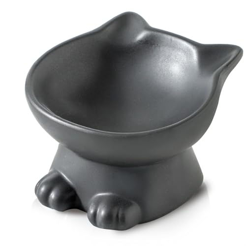 Image of Nihow Slanted Elevated Cat Bowls: 5 Inch Ceramic Raised Cat Food Bowl for Protecting Pet