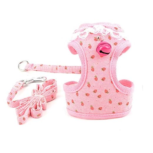 Arnés y Correa para Perros pequeños a la moda