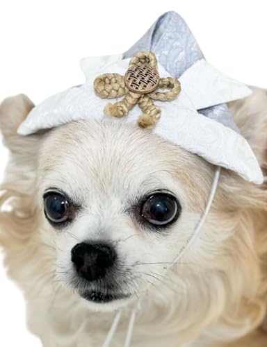 ONEKOSAMA OINUSAMA   Ck  L lR ˂  a a  hbOEFA Ղ ꒅ  ܎O ^ ^ ^ ^  RXv ˂ ʂ L  [O[]