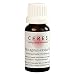Produktbild CERES Vitex Agnus castus D 2 Dilution 20 ml Dilution
