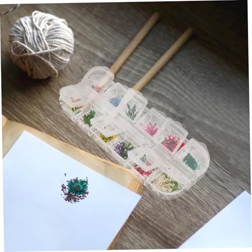 Kit de Flores Secas para Resina Zerodeko 12 Cavidades miniatura 3
