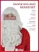 Santa Wig and Beard Set White