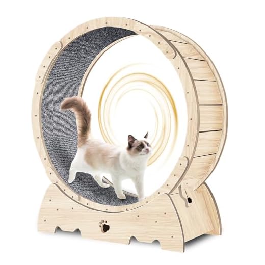 Silent Indoor Cat Exercise Wheel