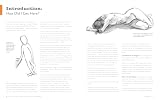 Debt-Free Art Degree: Foundations in Drawing: The Affordable Way to Learn Professional Skills - Includes Qr Codes to Online Tutorials