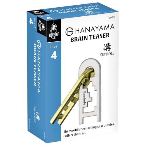 KEYHOLE Hanayama Cast Metal Brain Teaser Puzzle (Level 4)