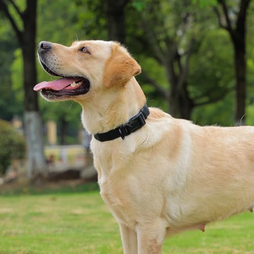 Image of Waterproof Dog Collar, Easy to Clean Rubber Dog Collars with Quick Release Buckle Fits Small Medium or Large Dogs (Black, S < 9.5-14.1 inch)