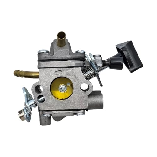 Carburateur souffleur BR 600 pour ramasser les feuilles d'automne