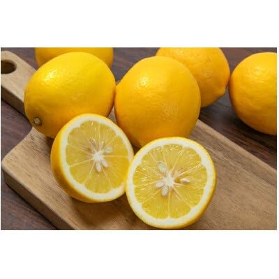 八幡浜産・レモン3kg (サイズ混合)[家庭用](C56-56)