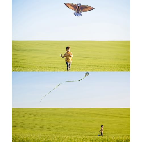 2 Pack Kites for Kids, Beautiful Kite Easy to Fly for Beginners with 328 ft Line & Line Winder, Easy to Fly for Beach Trip and Outdoor Activities - Image 6