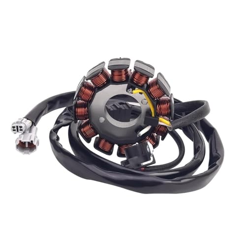 Bobine de stator WR250F résout les problèmes de démarrage et panne de batterie