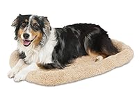 Algopix Similar Product 5 - Aspen Pet Bolster Style Kennel Mat