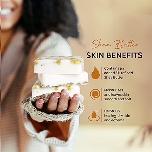 Pifito Shea Butter Melt And Pour Soap Base (5 Lb) │ Bulk Premium 100% Natural Glycerin Soap Base │ Luxurious Soap Making Supplies #TOP3