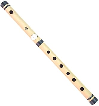 Taj Trader | Basuri | Indian Flute | Bamboo | (| Transverse| Tonic G)