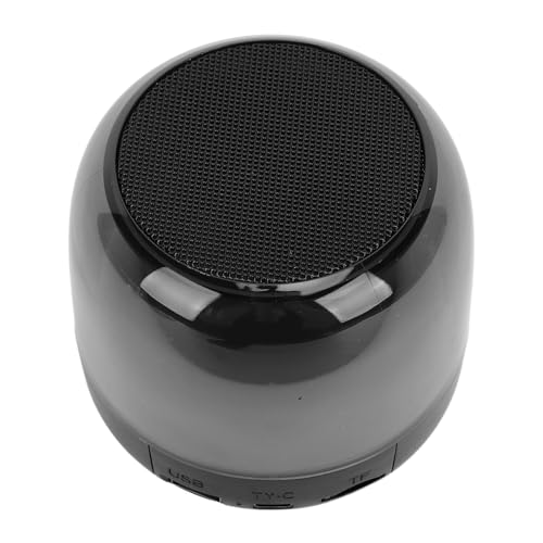 Pequeño Altavoz con Potente Volumen y Vibrantes Luces RGB para Salas de Juegos y KTV (Black)
