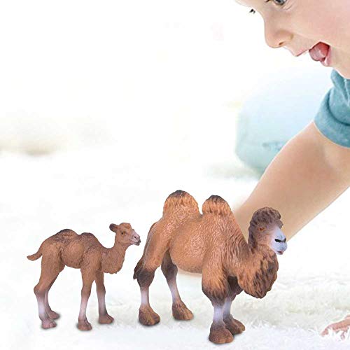 Alomejor 2 Stücke Miniatur Kamel Figur Modell, Kind Kinder Lernspielzeug Miniatur Tier Statue für Wohnkultur Wildlife Thema Party Supplies