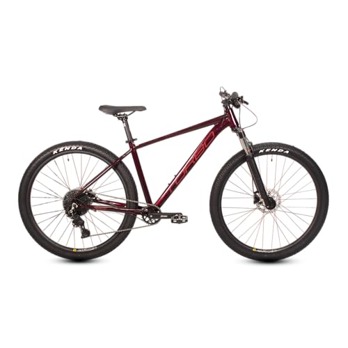 Turbo Bicicleta de Montaña R29 Agave | 1 x 9 Velocidades Shimano | Frenos de Disco Hidraulico Shimano | Suspension de Aluminio con Bloqueo Remoto...