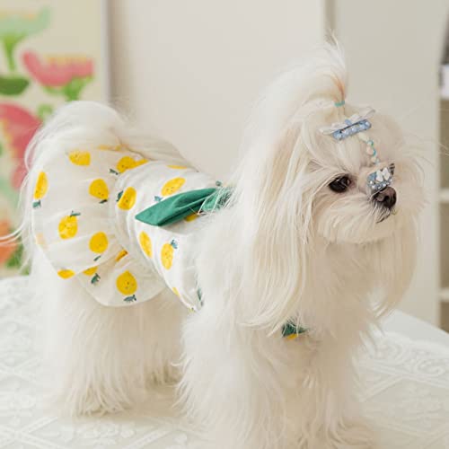 Dog Princess Dress Dog Dress Cat Dress Doggy Fruit Skirt Soft Breathable Dog Cotton Summer Dress For Small Medium Large Dog Girls Puppy Lightweight Pet Dresses #TOP5