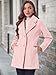 Allegra K Women's Elegant Notched Lapel Button Single Breasted Winter Coat X-Small Pink