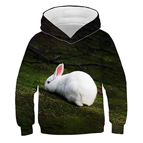 Sudadera con capucha para niños con estampado en 3D, diseño de conejo lindo con capucha para niño y niña de niños lindo mascota Top Ffunny con capucha disfraz de 14 años de edad, Wy173, 14 años Cover