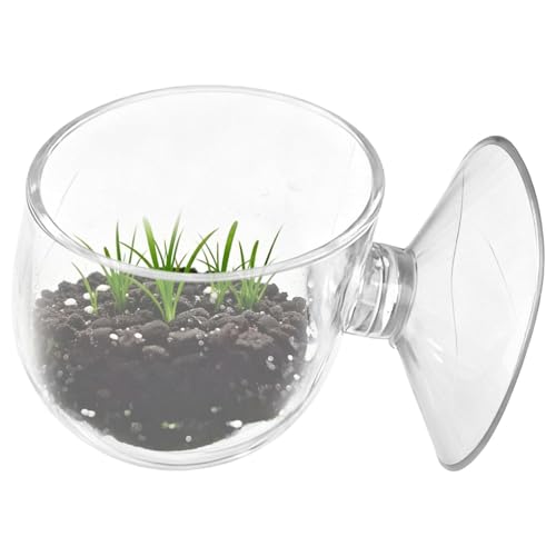 Aquarium Shrimp Feeder Dish - Shrimp Feeding Dish With Suction Cup | Fish Tank Food Dispenser Bowl | Betta Crab Frog Gecko Repti
