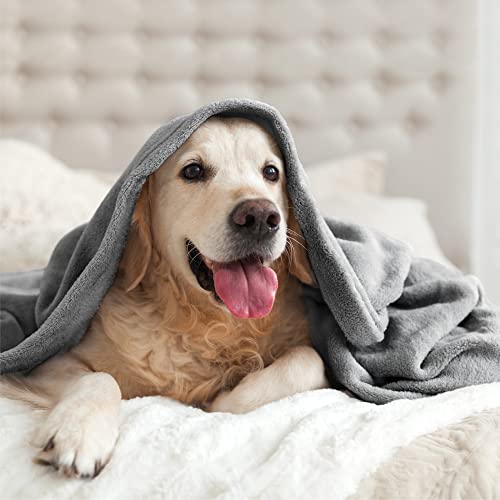 Image of BEDELITE Fleece Blanket Soft Plush Full Bed Blanket Grey 84 inchx90 inch