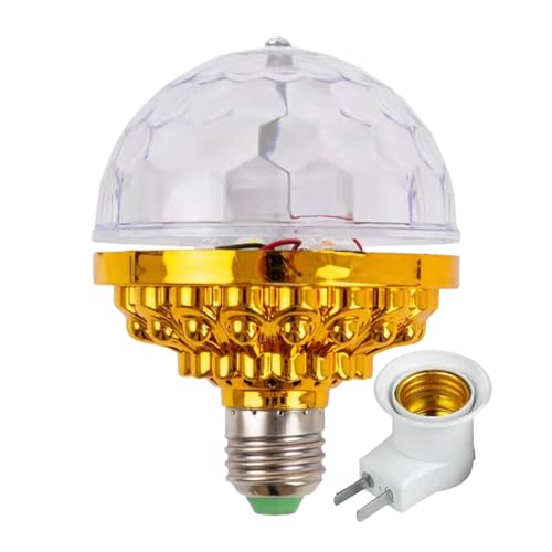 fBXR{[d | SLEDƖfR[V - ]fBXR{[Cg | ƒp[eB[D q eB[ NX}X x̖ 