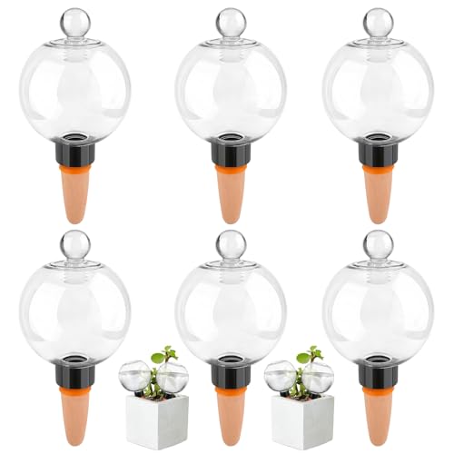 Pipihome Bewässerungskugeln für Pflanzen 6 Stück Automatische Pflanzenbewässerung 500ml Transparente Bewässerungskugel Wasserspender Pflanzen Bewässerung Selbstbewässerung für Drinnen & Draußen