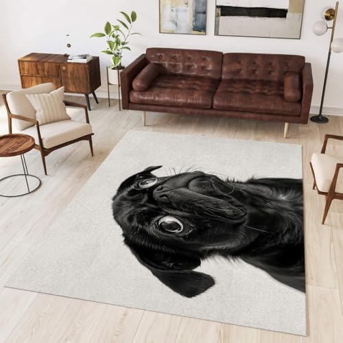 Tapis de salon classique vintage 80x160 cm motif carlin noir de qualité - 5