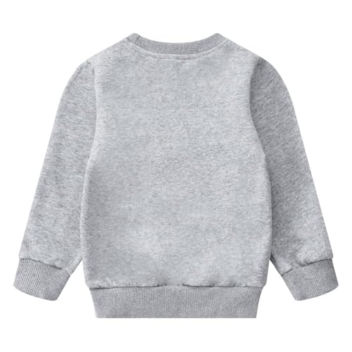 Image of Popshion Toddler Boys Sweatshirts Dinosaur Long Sleeve Pullover Crewneck Shirts Cartoon Tee Sport Tops for Kids 1-8T