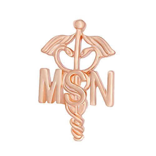 Image of Prestige Emblem Pin, BSN MSN Nurse Doctor Brooch Pins
