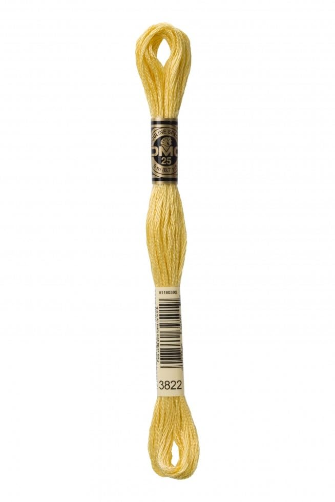 Image of DMC Stranded Cotton Embroidery Thread 3822 - per skein