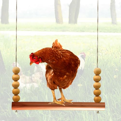 Chicken Swing Toy for Coops - Natural Wood 15.75 inch Adjustable Perch & Ladder | Chicken Toys Accessory for Hens, Roosters, Parrots, Macaws | Stress Relief Chicken Swings for Coops (Wooden Stick)