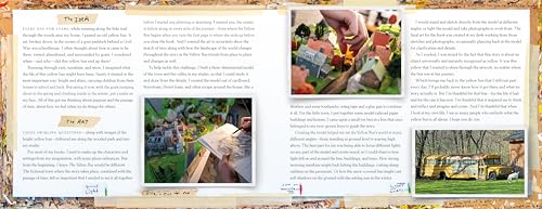 The Yellow Bus - Image 5