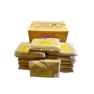 Beekeeping Supplies UK Candipolline Gold – 12 x 1kg Packs of Candipolline – A total of 12kg – excellent date – Dec 2023
