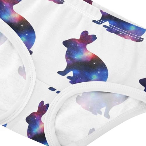 Joisal Toddler Girls Underwear 2t Cotton Panties for Girl Flower Briefs Underpants Silhouettes Rabbits White Cute4