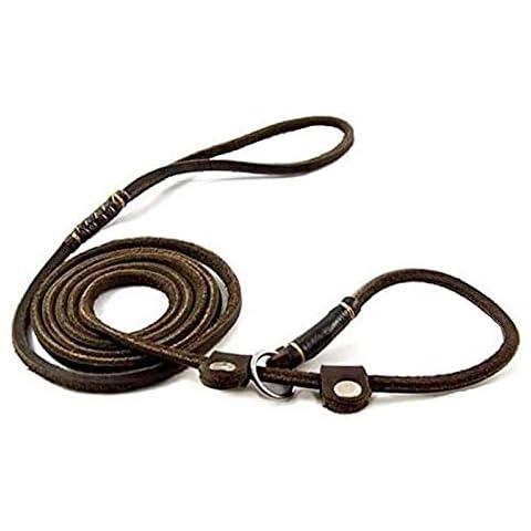 Creatwls New Genuine Real Leather Adjustable Leather Leash, Slip Lead, Pet Collar,Training Walking, Solid Hardware, For Teddy,Kitty, Cats, Small Puppy Dogs, Breeds.5ft Long By 3/5 Inch Wide Cover