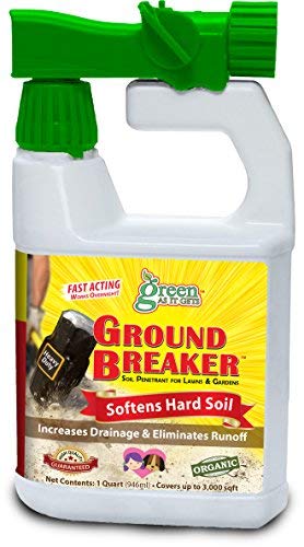 Can you aerate your lawn when it's wet